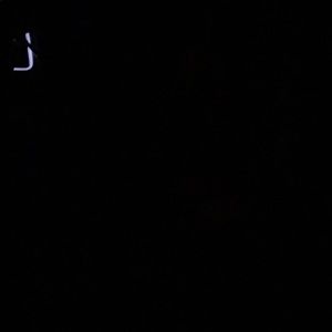 Meet your Posher, Maggie